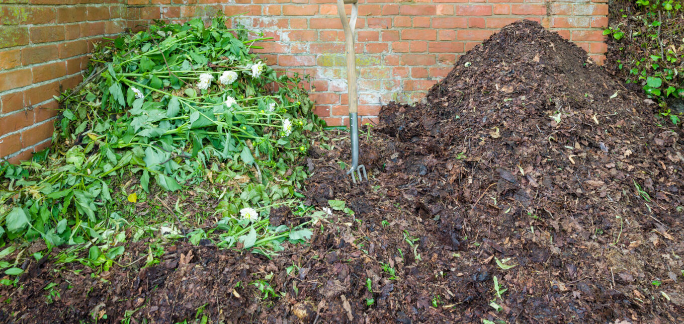 Winter Mulch for Vegetable Garden – Mother Earth News - Vimarsana News